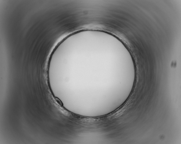 X0000098051248200804181315