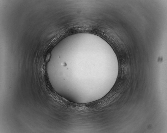 X0000098051250200804181314