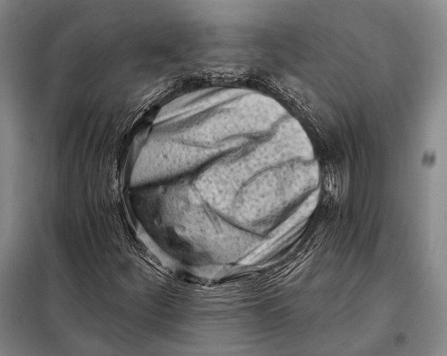 X0000098051252200804181314