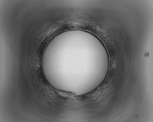 X0000098051253200804181314