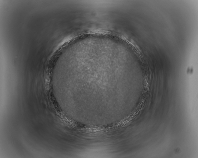 X0000098051254200804181314