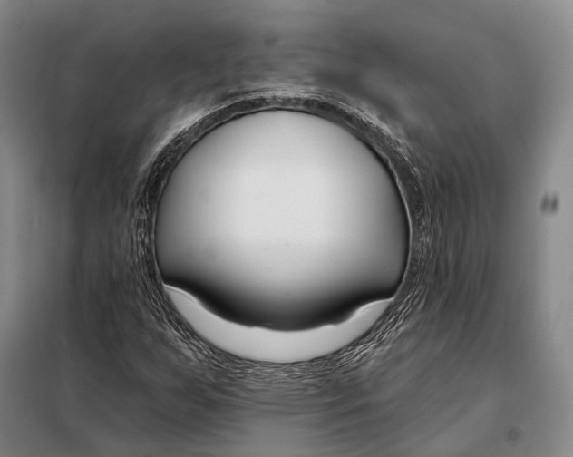 X0000098051255200804181314