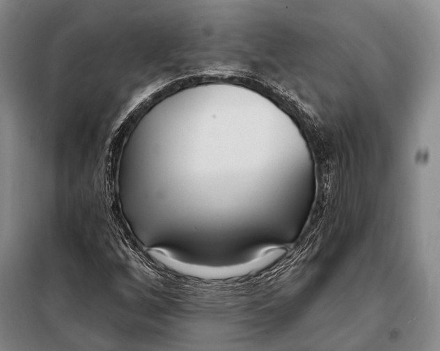 X0000098051256200804181314