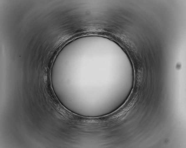 X0000098051257200804181314