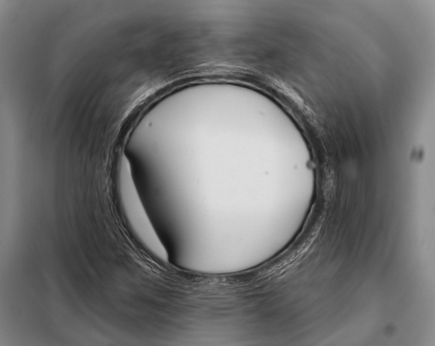 X0000098051259200804181314