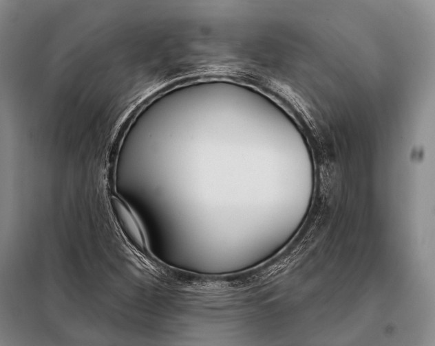 X0000098051260200804181314