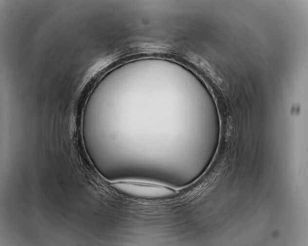 X0000098051261200804181314