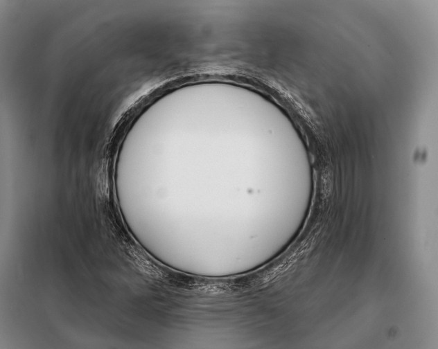 X0000098051262200804181314