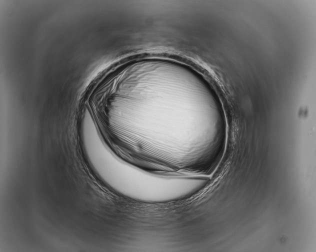 X0000098051263200804181314