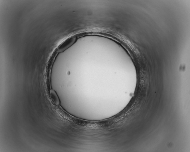 X0000098051264200804181314