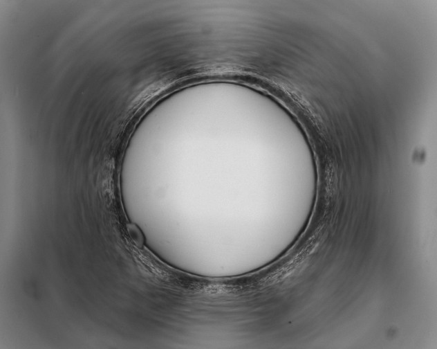 X0000098051265200804181314