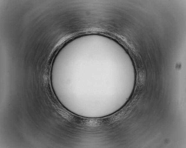 X0000098051266200804181314