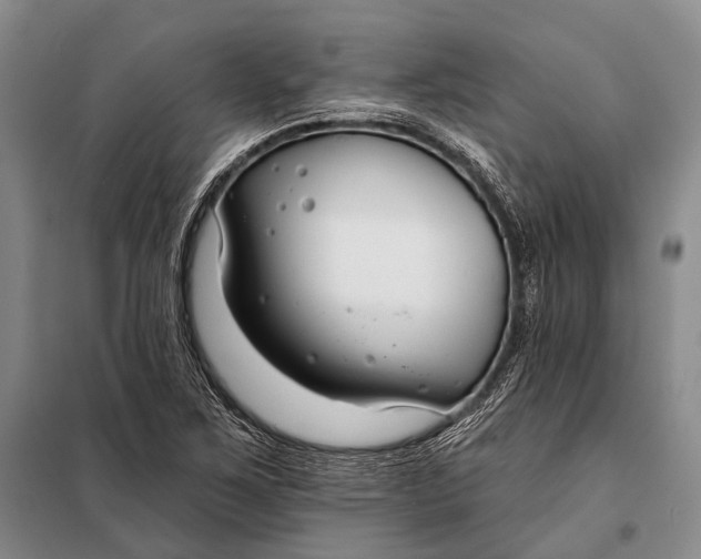 X0000098051267200804181314