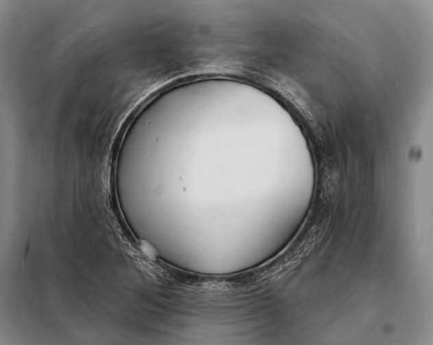 X0000098051268200804181314