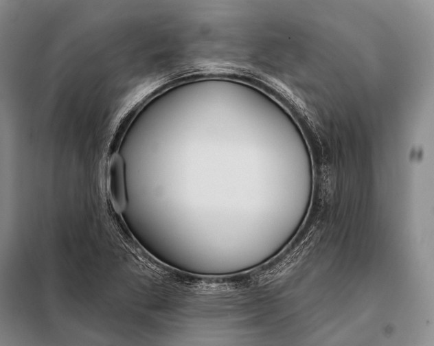 X0000098051269200804181314