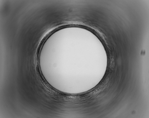 X0000098051271200804181314