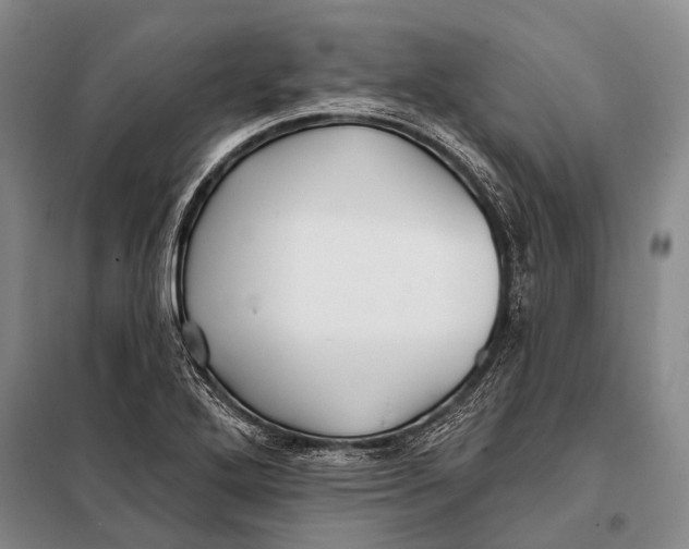 X0000098051272200804181314