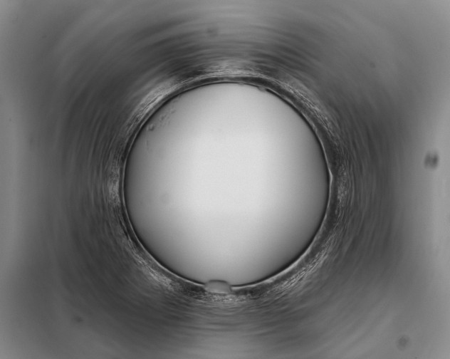 X0000098051273200804181314