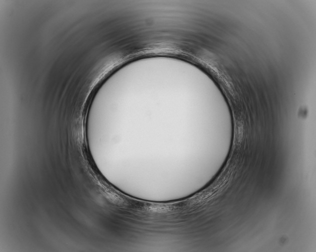 X0000098051274200804181314