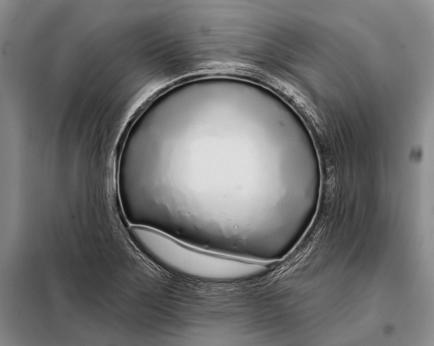 X0000098051275200804181314