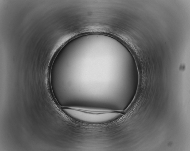 X0000098051277200804181314