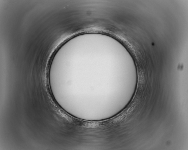 X0000098051278200804181314