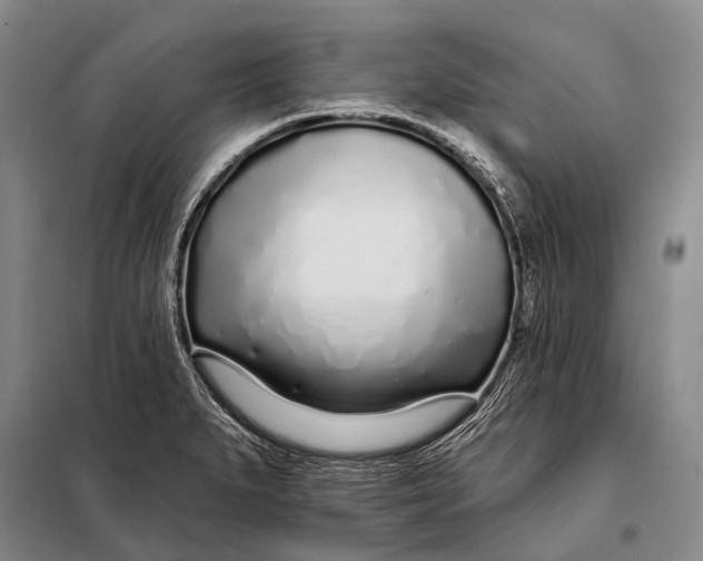 X0000098051279200804181314