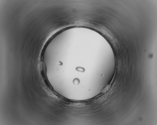 X0000098051280200804181314