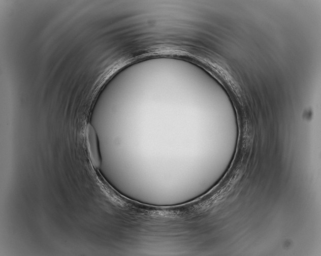 X0000098051281200804181314