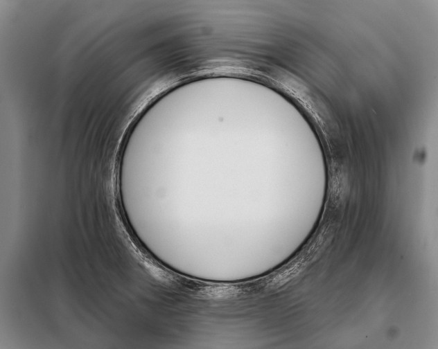 X0000098051282200804181314