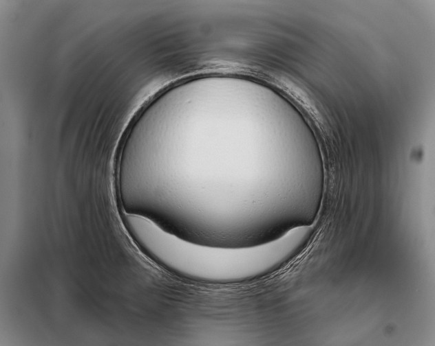 X0000098051283200804181314