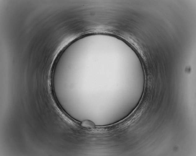 X0000098051285200804181314