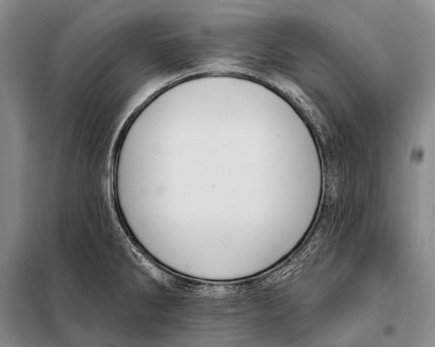 X0000098051286200804181314