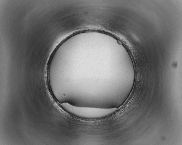 X0000098051287200804181314