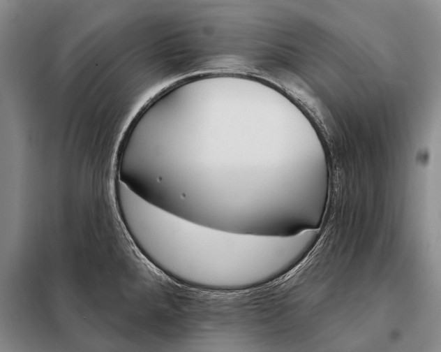 X0000098051288200804181314