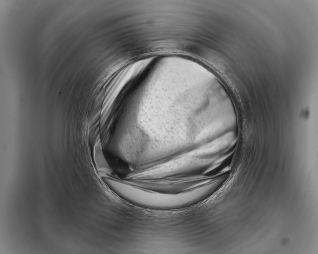 X0000098051289200804181314