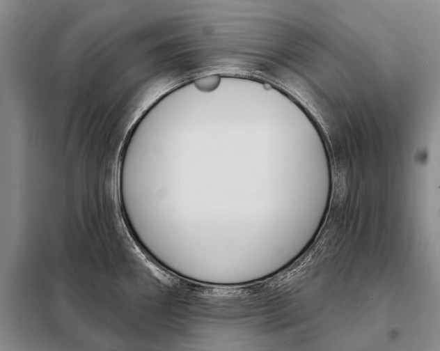 X0000098051290200804181314