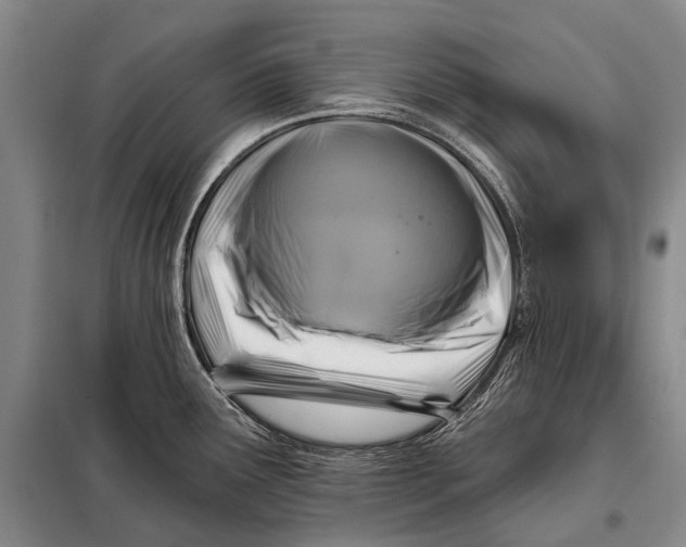 X0000098051291200804181314