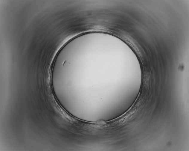 X0000098051292200804181314