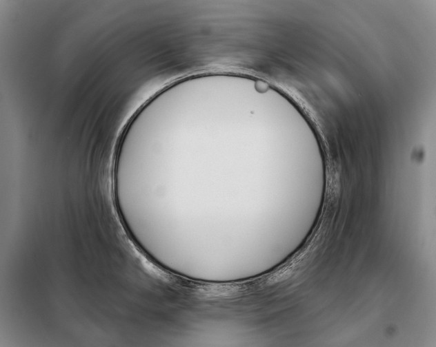 X0000098051294200804181314