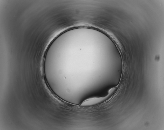 X0000098051295200804181314