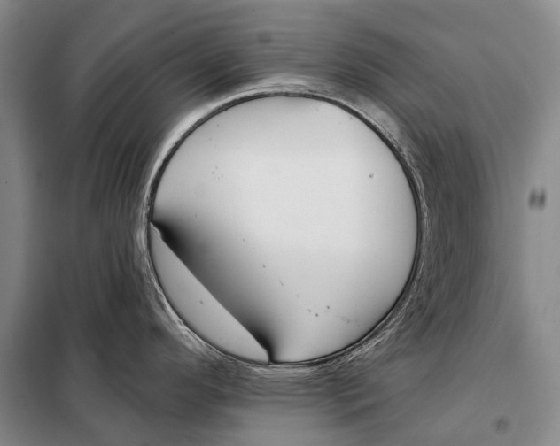 X0000098051296200804181313