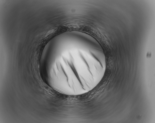 X0000098051297200804181312