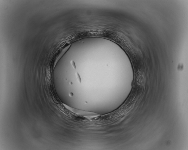 X0000098051298200804181313