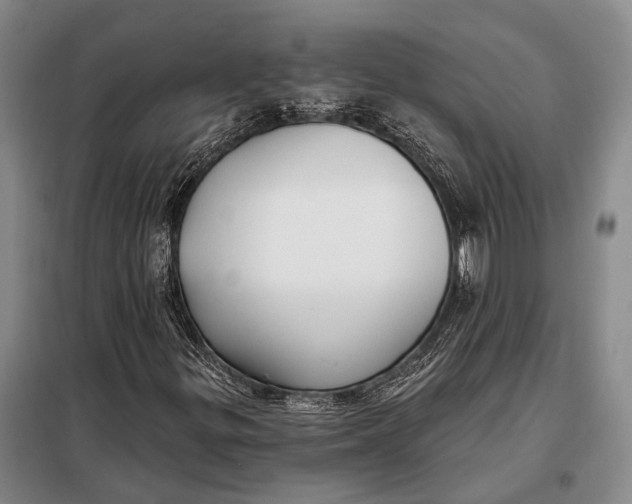 X0000098051299200804181313