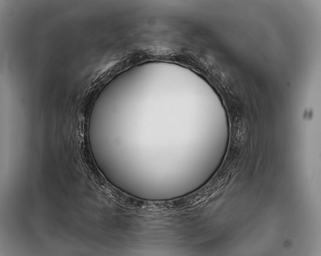 X0000098051301200804181313