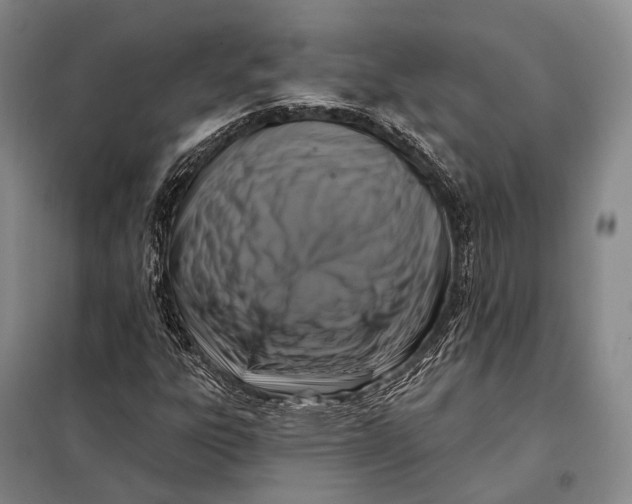 X0000098051303200804181313