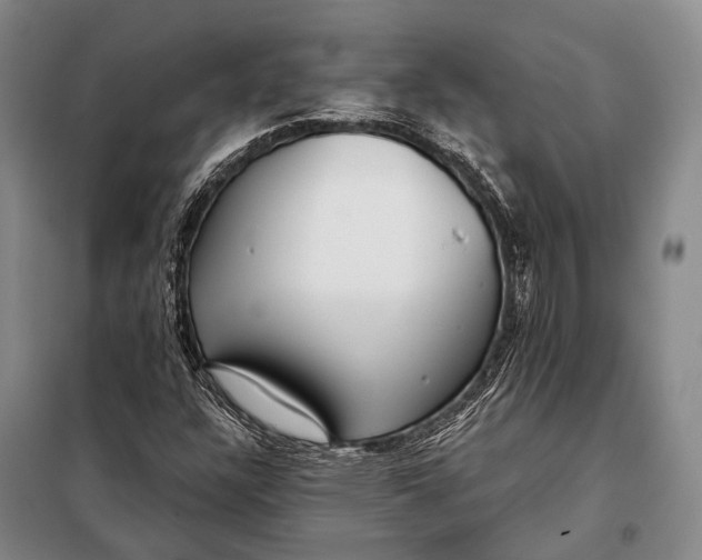 X0000098051304200804181313