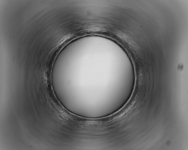 X0000098051305200804181313