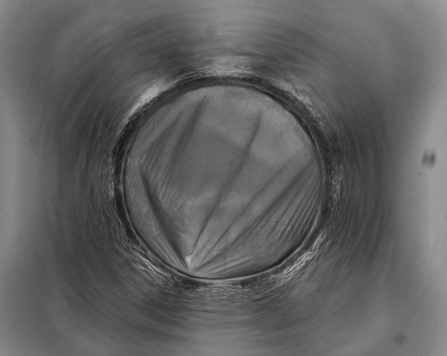 X0000098051306200804181313